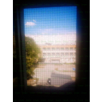 MONTAŻ SIATKI OKIENNEJ DLA KOTA Warszawa