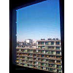 SIATKA NA OKNIE DLA KOTA MONTAŻ Warszawa