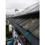 Montaż Kolców przeciw ptakom na fotowoltaike Warszawa