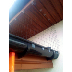 ZABEZPIECZENIA PRZED GOŁĘBIAMI Warszawa