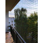 Siatki zabezpieczające dla kotów