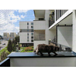 Siatka ochronna na balkon dla kota BEZINWAZYJNY MONTAŻ