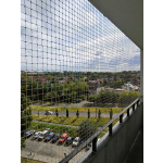 Siatki zabezpieczające balkon dla kota