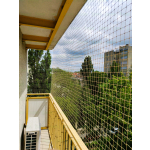 Założenie siatek dla kota