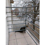 Założenie siatki dla kotów na balkon Warszawa