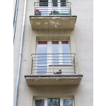 Siatki dla kotów Warszawa