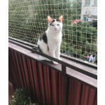 Siatka dla kota na balkon montaż BEZINWAZYJNY Pruszków
