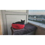 Siatka na balkon przeciw ptakom montaż BEZINWAZYJNY Pruszków