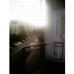 Siatka na balkon dla kota z montażem Pruszków