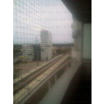 Kocie siatki bezinwazyjny montaż Piastów