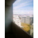 Siatkowanie balkonu dla kota Piastów