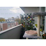 Zabezpieczenie balkonu kot Ożarów Mazowiecki