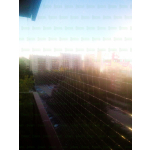 Siatka dla kotów na balkon montaż BEZINWAZYJNY Łomianki