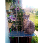 Siatka dla kota na balkon bez wiercenia Sulejówek