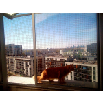 Zabezpieczenie balkonu dla kota Warszawa