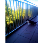 Siatka balkonowa montaż BEZINWAZYJNY Otwock