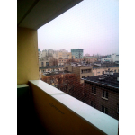 Siatka dla kota Józefów