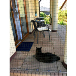 Bezinwazyjny montaż Kocia siatka Mińsk Mazowiecki