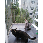 Siatka na balkon dla kota z montażem BEZINWAZYJNYM Mińsk Mazowiecki