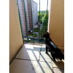 Siatka na balkon dla kota montaż bez wiercenia Mińsk Mazowiecki