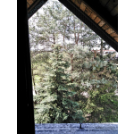 Kocia siatka Mińsk Mazowiecki